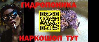 хмурый Бийск
