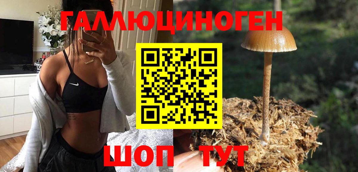 Псилоцибиновые грибы прущие грибы Керчь