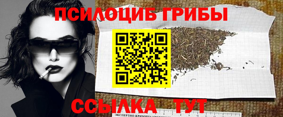 Керчь  Псилоцибиновые грибы прущие грибы  Галлюциногенные грибы Cubensis  Вход с VPN 